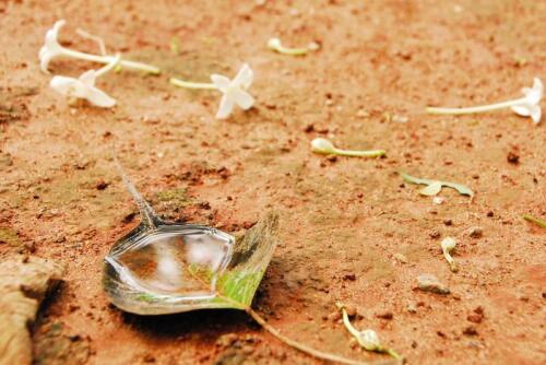 51527065573 2bffd2a120 c