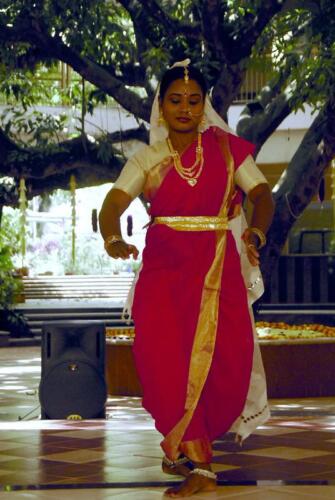 51651487806 0c4e67dc82 c